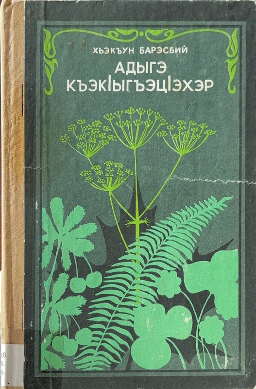 Adıge kakıghatseher